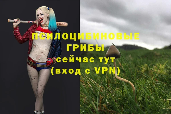 mix Аркадак